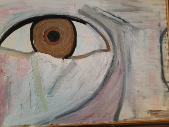 Het oog